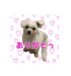 かわいいめるちんスタンプ（個別スタンプ：5）