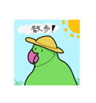 緑の鳥さん2（個別スタンプ：12）
