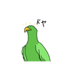 緑の鳥さん2（個別スタンプ：14）