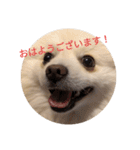 豆ついに敬語？！豆覚醒（個別スタンプ：2）