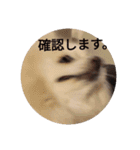 豆ついに敬語？！豆覚醒（個別スタンプ：10）