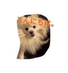 豆ついに敬語？！豆覚醒（個別スタンプ：12）