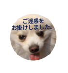 豆ついに敬語？！豆覚醒（個別スタンプ：21）