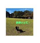 アトム改訂版（個別スタンプ：6）
