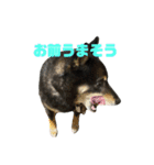 アトム改訂版（個別スタンプ：10）