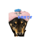 アトム改訂版（個別スタンプ：12）