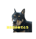 アトム改訂版（個別スタンプ：14）
