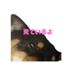 アトム改訂版（個別スタンプ：15）