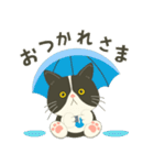 【雨•大雨】ハチワレぶーにゃん【警戒】（個別スタンプ：6）