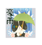 【雨•大雨】ハチワレぶーにゃん【警戒】（個別スタンプ：9）