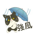 【雨•大雨】ハチワレぶーにゃん【警戒】（個別スタンプ：11）