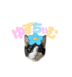 ゆずぽんDXスタンプ（個別スタンプ：2）