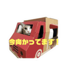 ゆずぽんDXスタンプ（個別スタンプ：16）