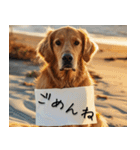 犬からの手紙⭐️（個別スタンプ：7）