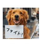 犬からの手紙⭐️（個別スタンプ：8）