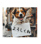 犬からの手紙⭐️（個別スタンプ：9）