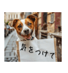 犬からの手紙⭐️（個別スタンプ：19）