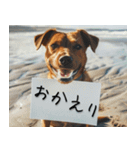 犬からの手紙⭐️（個別スタンプ：29）