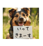 犬からの手紙⭐️（個別スタンプ：31）