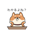 柴犬のゆる会話スタンプ（個別スタンプ：10）