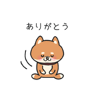 柴犬のゆる会話スタンプ（個別スタンプ：24）