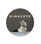 おつかれさまおまめ（個別スタンプ：9）