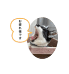 おつかれさまおまめ（個別スタンプ：16）