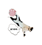 おつかれさまおまめ（個別スタンプ：21）