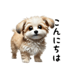 ミックス犬のマルプーのスタンプです。（個別スタンプ：1）