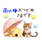 アニメ猫♡夏 毎年使える（個別スタンプ：15）