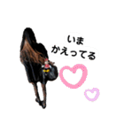 miriayu.s（個別スタンプ：26）