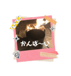 かんぱ〜い(^-^)（個別スタンプ：4）