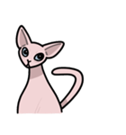 毛のない猫スフィンクス（個別スタンプ：1）