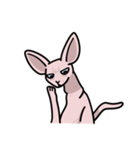 毛のない猫スフィンクス（個別スタンプ：4）