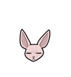 毛のない猫スフィンクス（個別スタンプ：6）