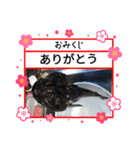 ㋚㋕㋤（個別スタンプ：2）