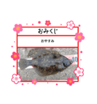 ㋚㋕㋤（個別スタンプ：3）