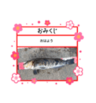 ㋚㋕㋤（個別スタンプ：4）