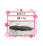 ㋚㋕㋤（個別スタンプ：6）