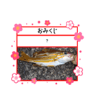 ㋚㋕㋤（個別スタンプ：11）