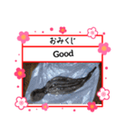 ㋚㋕㋤（個別スタンプ：13）