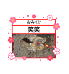 ㋚㋕㋤（個別スタンプ：14）