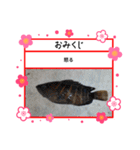 ㋚㋕㋤（個別スタンプ：15）