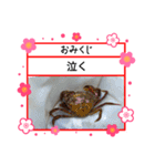 ㋚㋕㋤（個別スタンプ：16）