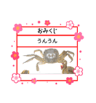 ㋚㋕㋤（個別スタンプ：18）