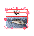 ㋚㋕㋤（個別スタンプ：20）