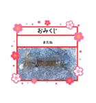 ㋚㋕㋤（個別スタンプ：22）