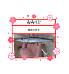 ㋚㋕㋤（個別スタンプ：23）