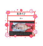 ㋚㋕㋤（個別スタンプ：25）
