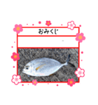 ㋚㋕㋤（個別スタンプ：26）